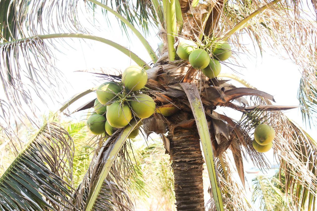 Eagles Beach Resort Phan Thiet Eksteriør bilde